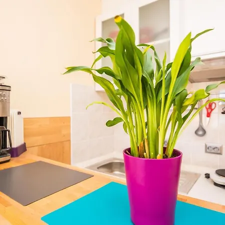 Jozef Apartment Vir